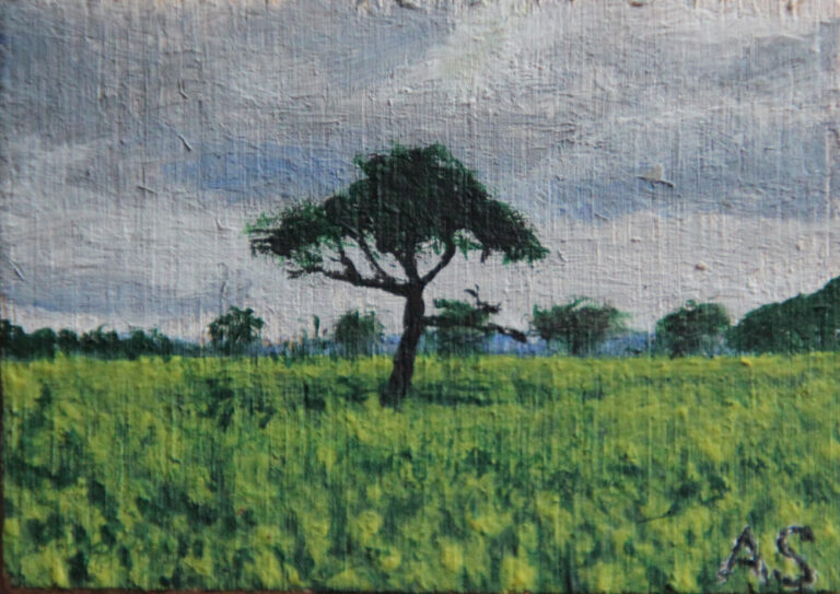 Baum im Rapsfeld