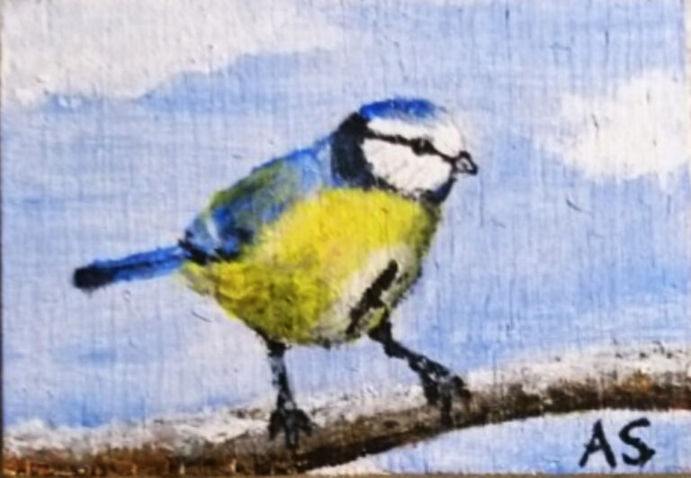 Blaumeise