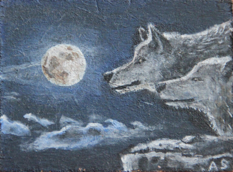 Wölfe bei Nacht